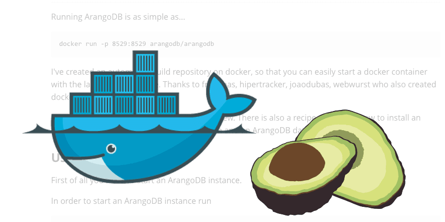 How to run Arangodb in docker container
