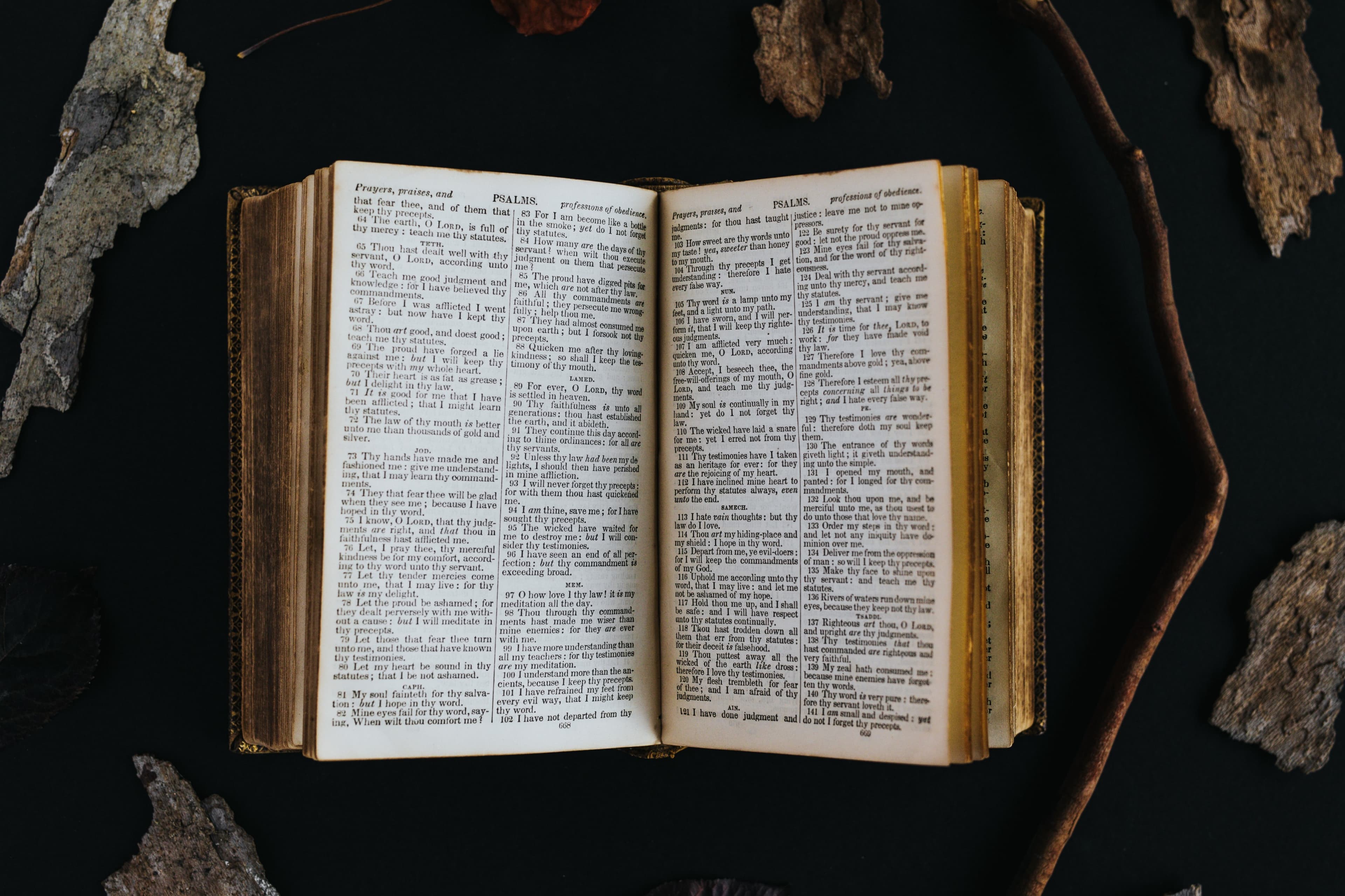 Exploring spaCy: Your one-stop library to build advanced NLP products